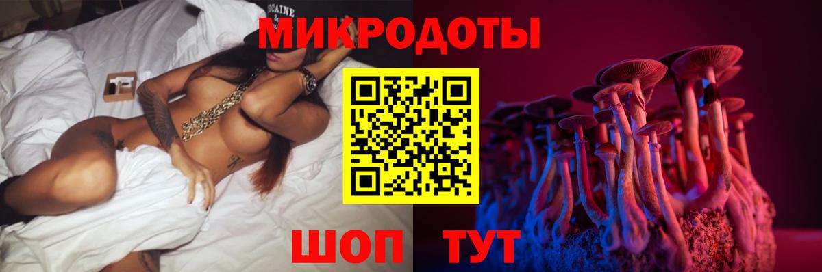 Сыктывкар  Псилоцибиновые грибы MAGIC MUSHROOMS  Псилоцибиновые грибы Cubensis  Вход с VPN 
